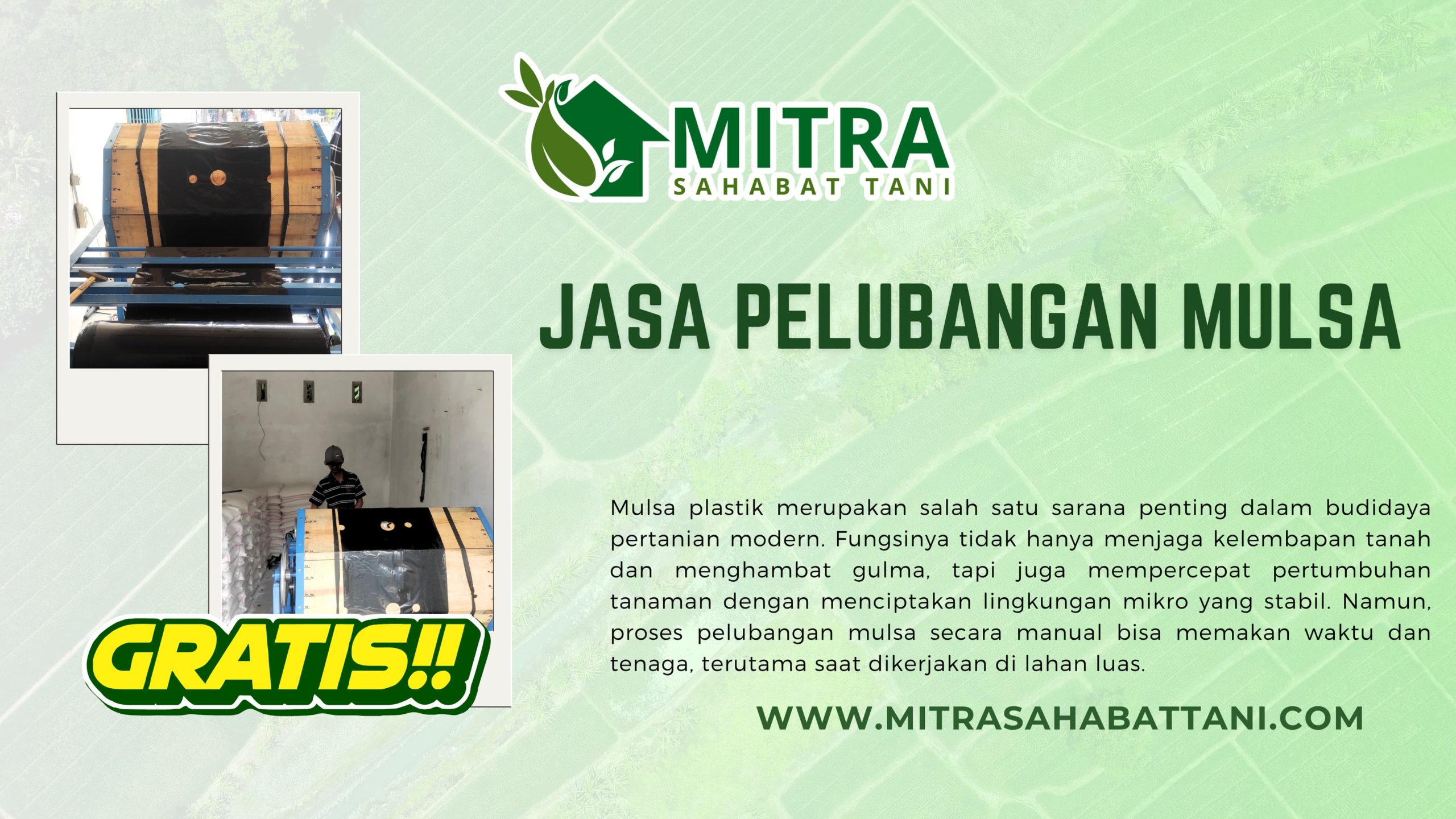 Pelubangan Mulsa Gratis
Mulsa plastik merupakan salah satu sarana penting dalam budidaya pertanian modern. Fungsinya tidak hanya menjaga kelembapan tanah dan menghambat gulma, tapi juga mempercepat pertumbuhan tanaman dengan menciptakan lingkungan mikro yang stabil. Namun, proses pelubangan mulsa secara manual bisa memakan waktu dan tenaga, terutama saat dikerjakan di lahan luas.
Mitra Sahabat Tani hadir untuk menjawab tantangan ini.
Kini, kami menyediakan jasa pelubangan mulsa secara GRATIS untuk para petani yang membeli mulsa langsung dari Mitra Sahabat Tani Depo Kaliangkrik.
Apa Itu Jasa Pelubangan Mulsa?
Pelubangan mulsa adalah proses membuat lubang tanam pada lembaran plastik mulsa sesuai jarak dan ukuran tertentu. Lubang ini disesuaikan dengan jenis tanaman dan sistem tanam yang digunakan (jarak tanam 20 x 30, 40 x 40, atau pola zigzag misalnya).
Dengan menggunakan mesin khusus, proses pelubangan jadi lebih cepat, rapi, dan seragam, tentu saja menghemat waktu dan tenaga petani.
Syarat Mendapatkan Layanan Gratis Ini
Layanan pelubangan mulsa gratis hanya diberikan untuk petani yang:
โ
Melakukan pembelian mulsa langsung di Mitra Sahabat Tani Depo Kaliangkrik
Kami tidak membebankan biaya tambahan untuk jasa ini. Cukup bawa nota pembelian dan infokan kebutuhan jarak tanam Anda, tim kami akan bantu proses pelubangan dengan rapi sesuai permintaan.
Keunggulan Layanan Ini
Hemat tenaga kerja: Tidak perlu repot melubangi sendiri
Presisi & seragam: Jarak tanam lebih akurat
Cepat & efisien: Proses pelubangan dilakukan dengan mesin
Gratis: Tidak ada biaya tambahan, cukup beli mulsanya di kami
Cara Mendapatkan Layanan
Beli mulsa di Mitra Sahabat Tani Depo Kalingkrik
Sampaikan kepada petugas bahwa Anda ingin menggunakan layanan pelubangan
Tentukan jarak tanam atau pola lubang yang diinginkan
Mulsa akan diproses dan siap digunakan langsung di lahan
Ayo Manfaatkan Sekarang!
Butuh mulsa dan ingin lebih hemat waktu?
Langsung saja datang ke toko Mitra Sahabat Tani Depo Kaliangkrik
Anda juga bisa tanya-tanya dulu via WhatsApp, kami siap bantu.
Mitra Sahabat Tani, karena bertani nggak harus ribet.