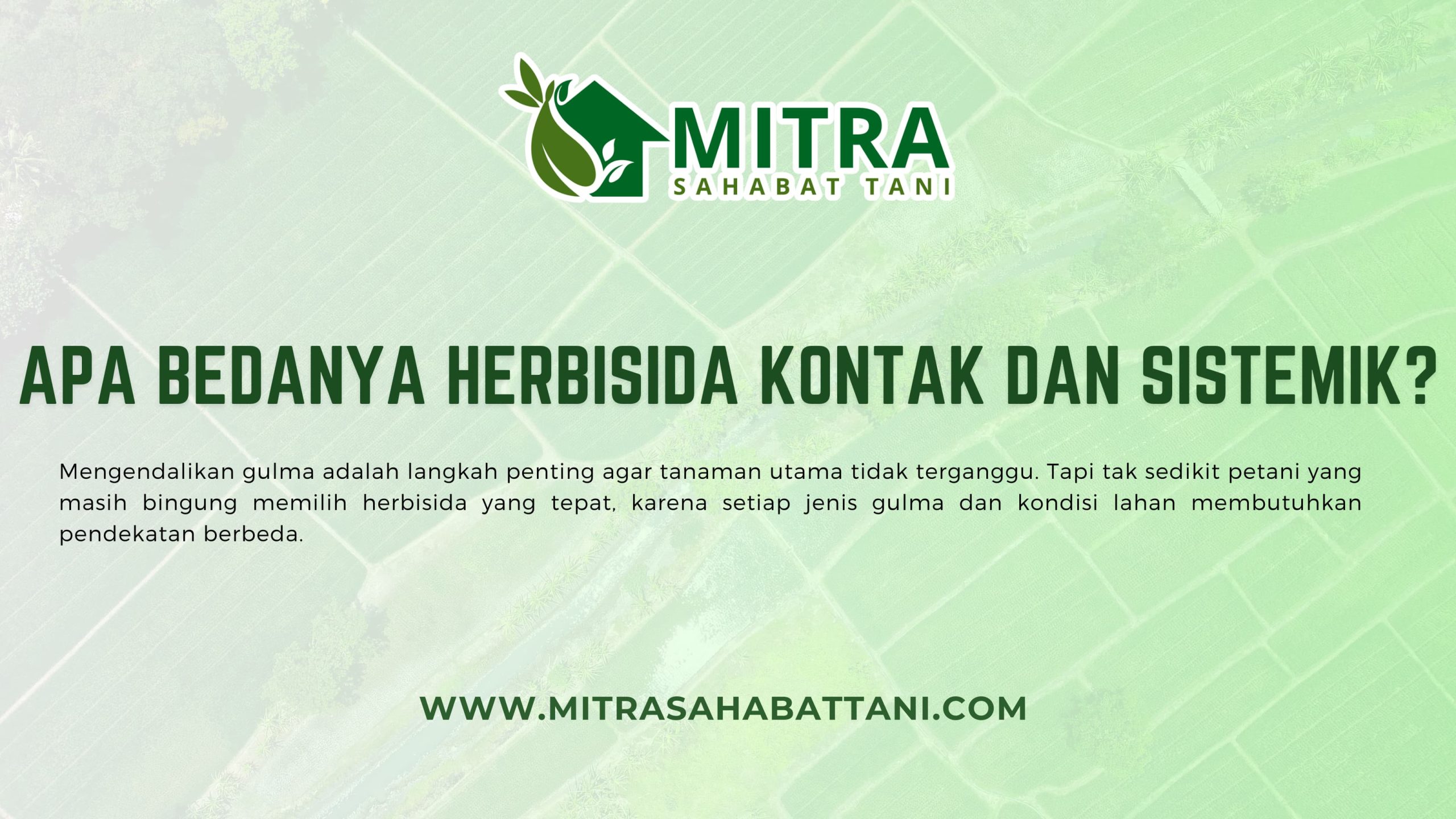 enapa Penting Memahami Jenis Herbisida?
Mengendalikan gulma adalah langkah penting agar tanaman utama tidak terganggu. Tapi tak sedikit petani yang masih bingung memilih herbisida yang tepat, karena setiap jenis gulma dan kondisi lahan membutuhkan pendekatan berbeda.
Secara umum, herbisida dibagi menjadi dua jenis berdasarkan cara kerjanya: kontak dan sistemik. Masing-masing memiliki fungsi dan keunggulan yang berbeda, dan pemilihan yang tepat bisa menentukan keberhasilan pengendalian gulma di lapangan.
1. Herbisida Kontak: Kerja Cepat, Efektif di Permukaan
Herbisida kontak bekerja langsung pada bagian tanaman yang terkena semprotan, biasanya pada daun atau batang muda. Efeknya bisa terlihat dalam waktu singkat, bahkan dalam hitungan jam hingga beberapa hari. Jenis ini cocok untuk gulma muda yang belum memiliki sistem akar yang kuat.
Ciri-ciri herbisida kontak:
Reaksi cepat
Hanya bekerja pada bagian tanaman yang terkena
Kurang efektif untuk gulma tua atau berakar dalam
Cocok untuk pembersihan awal atau lahan sempit
2. Herbisida Sistemik: Serang hingga ke Akar
Berbeda dari kontak, herbisida sistemik diserap oleh jaringan tanaman lalu diedarkan hingga ke akar. Meskipun efeknya tidak secepat herbisida kontak, namun hasilnya lebih menyeluruh dan tahan lama, karena tanaman benar-benar mati dari akar.
Ciri-ciri herbisida sistemik:
Efek muncul lebih lambat (beberapa hari hingga satu minggu)
Membunuh gulma hingga ke akar
Cocok untuk gulma keras, tua, atau gulma yang tumbuh kembali
Ideal untuk lahan luas atau tanaman tahunan
3. Kapan Sebaiknya Digunakan?
Jenis HerbisidaWaktu Penggunaan IdealKontakSaat gulma masih muda dan belum menyebar luasSistemikSaat gulma sudah tumbuh besar, berakar kuat, atau menyebar cepat
Jika ingin hasil maksimal, seringkali penggunaan kedua jenis ini dilakukan secara bergantian atau dikombinasikan, tergantung siklus gulma di lahan.
Dapatkan Edukasi dan Produk Resmi di Mitra Sahabat Tani
Mitra Sahabat Tani menyediakan beragam jenis herbisida, baik kontak maupun sistemik, dengan kualitas terpercaya dan dukungan konsultasi langsung. Petani bisa berkonsultasi tentang:
Jenis gulma yang dihadapi
Waktu tanam dan siklus aplikasi
Dosis dan teknik semprot yang benar
Kombinasi produk jika dibutuhkan
Layanan ini tersedia di toko-toko kami, depo resmi, maupun melalui WhatsApp yang bisa diakses dari mana saja.
Butuh Bantuan Tentang Herbisida? Kami Siap Bantu
Jangan ragu untuk bertanya langsung ke tim Mitra Sahabat Tani. Kami akan bantu Anda memilih solusi pengendalian gulma yang efektif, efisien, dan sesuai kebutuhan lapangan.
Karena bertani itu soal strategi, dan kami di sini untuk membantu strategi itu berhasil.