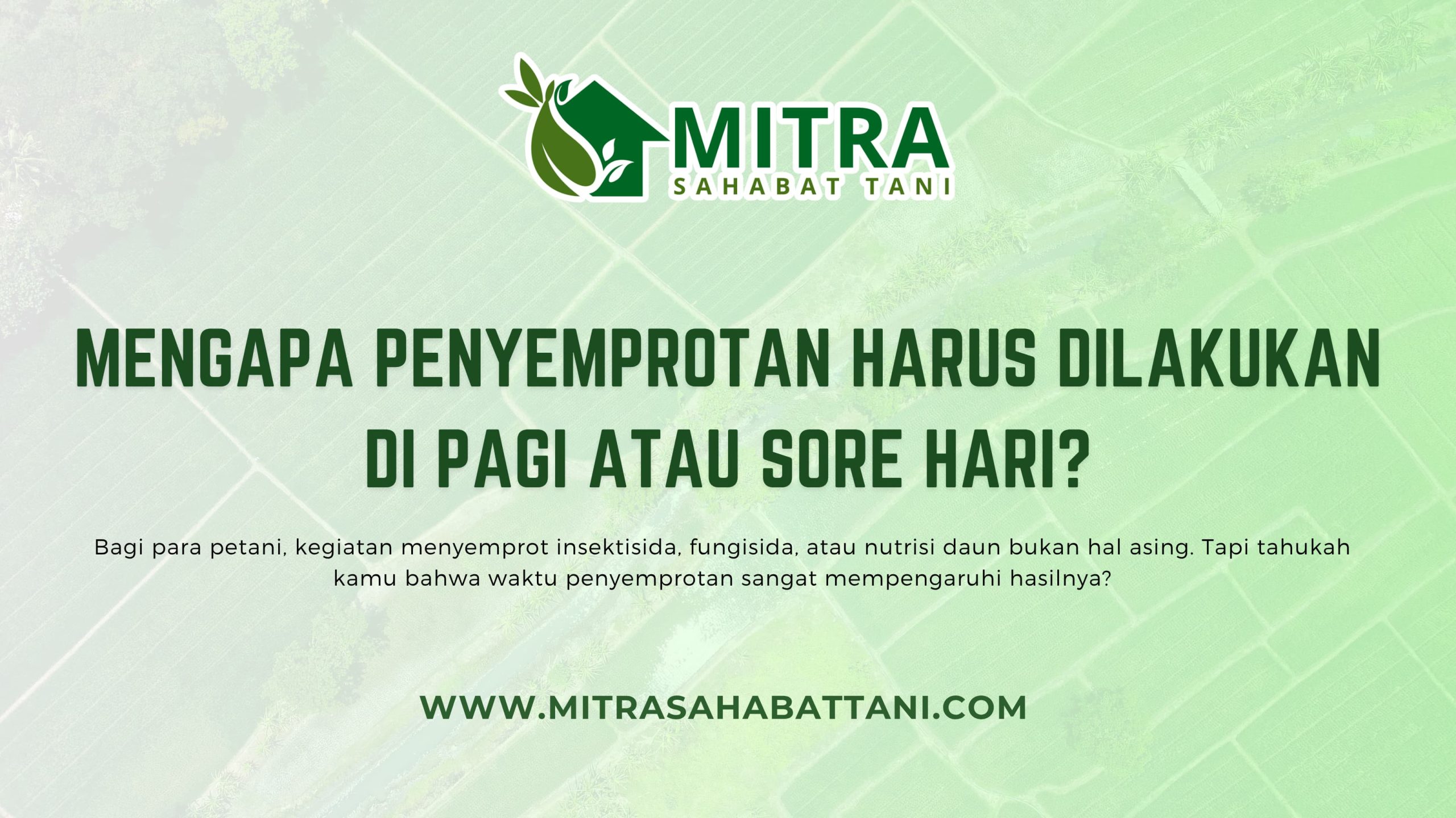 Pagi dan Sore: Waktu Emas untuk Menyemprot Tanaman

Bagi para petani, kegiatan menyemprot insektisida, fungisida, atau nutrisi daun bukan hal asing. Tapi tahukah kamu bahwa waktu penyemprotan sangat mempengaruhi hasilnya?

Secara umum, waktu yang disarankan untuk menyemprot tanaman adalah pagi sebelum pukul 9 atau sore hari setelah pukul 15.00. Alasannya bukan sekadar kebiasaan, tapi ada penjelasan ilmiahnya!.

Menghindari Penguapan di Siang Hari

Saat matahari sedang terik (sekitar pukul 10.00–14.00), suhu udara meningkat drastis. Jika kamu menyemprot di waktu ini, cairan semprot akan cepat menguap sebelum sempat diserap tanaman. Akibatnya, efektivitas produk jadi menurun, bahkan bisa menyebabkan daun gosong karena efek "terbakar".

Stomata Terbuka di Waktu yang Tepat

Tanaman menyerap zat dari permukaan daun melalui pori-pori yang disebut stomata. Pagi dan sore hari adalah saat di mana stomata tanaman terbuka lebih lebar, sehingga penyerapan nutrisi atau pestisida bisa lebih maksimal.

Hama Aktif di Waktu Dingin

Beberapa jenis hama, seperti ulat atau kutu, justru lebih aktif di pagi atau sore hari ketika suhu tidak terlalu panas. Menyemprot di waktu ini memberi peluang lebih besar untuk membasmi mereka secara langsung.

Risiko Drift Lebih Rendah

Saat siang hari, angin biasanya bertiup lebih kencang. Ini berisiko membuat cairan semprot terbawa angin ke arah yang tidak diinginkan (spray drift). Dengan menyemprot di pagi atau sore, risiko ini jauh lebih kecil, sehingga penyemprotan jadi lebih hemat dan akurat.

Tips Tambahan untuk Hasil Maksimal

Gunakan alat semprot yang bersih dan nozzle yang tepat

Ikuti dosis anjuran pada label produk

Semprot merata ke seluruh bagian tanaman, terutama bawah daun

Pastikan cuaca tidak hujan dalam 6 jam setelah penyemprotan

Mitra Sahabat Tani Siap Bantu

Butuh alat semprot berkualitas? Atau ingin konsultasi soal waktu penyemprotan yang pas untuk tanaman kamu? Mitra Sahabat Tani siap bantu langsung di toko atau depo terdekat.

Kami juga menyediakan berbagai produk pertanian berkualitas, dengan edukasi langsung dari tim kami yang berpengalaman di lapangan.

Cari depo terdekatmu sekarang dan dapatkan pendampingan pertanian yang benar-benar niat bantu petani berkembang!