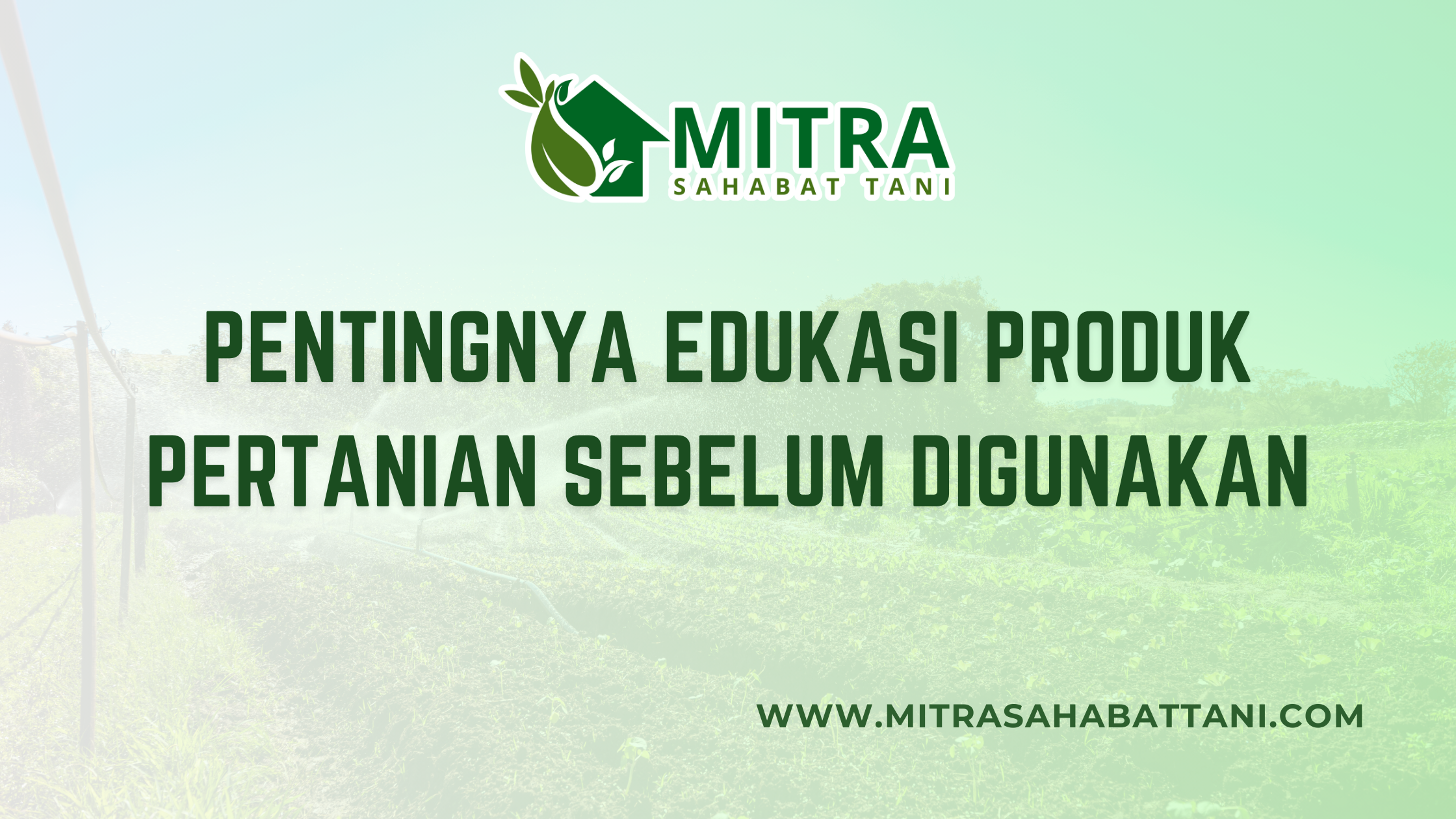 Penggunaan produk seperti pupuk, pestisida, herbisida, hingga zat pengatur tumbuh (ZPT) menjadi hal yang tidak terpisahkan di dunia pertanian modern. Namun, kenyataan di lapangan menunjukkan masih banyak petani yang menghadapi kendala akibat kurangnya pemahaman dalam menggunakan produk-produk tersebut. Kesalahan aplikasi bukan hanya membuat hasil panen tidak maksimal, tetapi juga dapat merugikan secara finansial. Oleh karena itu, edukasi produk pertanian sebelum digunakan menjadi langkah penting yang tidak bisa diabaikan.
Mengapa Edukasi Produk Pertanian Sangat Penting?
Tanaman yang sehat dan produktif tidak hanya bergantung pada kualitas benih atau kondisi lahan. Produk pertanian yang digunakan juga memegang peranan besar. Namun, tanpa pemahaman yang tepat, produk dengan kualitas terbaik sekalipun bisa menjadi tidak efektif.
Sebagai contoh, penggunaan pestisida yang berlebihan dapat memicu resistensi hama. Begitu pula dengan pemakaian pupuk yang tidak sesuai dosis bisa mengakibatkan kerusakan tanah. Dari sini terlihat jelas, edukasi bukan hanya soal pengetahuan tambahan, melainkan sebuah kebutuhan dasar bagi setiap petani.
Risiko yang Timbul Jika Edukasi Diabaikan
Kesalahan dalam penggunaan produk pertanian sering kali membawa dampak jangka panjang. Beberapa risiko yang umum terjadi di lapangan antara lain:
Hasil panen menurun akibat dosis atau waktu aplikasi yang salah.
Kerugian ekonomi karena produk yang dibeli tidak memberikan manfaat optimal.
Dampak lingkungan berupa pencemaran tanah dan air dari residu bahan kimia.
Kesehatan tanaman terganggu karena interaksi produk yang tidak tepat.
Dengan memahami risiko ini, semakin jelas bahwa edukasi bukanlah pilihan, melainkan sebuah keharusan.
Peran Mitra Sahabat Tani dalam Edukasi Petani
Sebagai toko pertanian modern, Mitra Sahabat Tani tidak hanya fokus pada penyediaan produk. Lebih dari itu, edukasi dan konsultasi menjadi layanan tambahan yang diberikan kepada setiap petani. Konsultasi gratis tersedia untuk membantu menentukan jenis produk, dosis yang sesuai, hingga teknik aplikasi yang benar.
Selain itu, tim lapangan juga siap memberikan pendampingan teknis. Dengan cara ini, setiap produk yang dibeli di Mitra Sahabat Tani dapat digunakan secara efektif dan memberikan hasil maksimal di lahan.
Edukasi produk pertanian merupakan langkah penting yang menentukan keberhasilan usaha tani. Kesalahan sekecil apa pun dalam penggunaan produk bisa berdampak besar pada hasil panen. Mitra Sahabat Tani hadir sebagai mitra terpercaya dengan layanan konsultasi dan pendampingan yang dirancang untuk membantu petani mendapatkan manfaat terbaik dari setiap produk.
Dengan pendekatan ini, tidak hanya hasil panen yang meningkat, tetapi juga efisiensi biaya dan keberlanjutan usaha pertanian dapat terjaga.