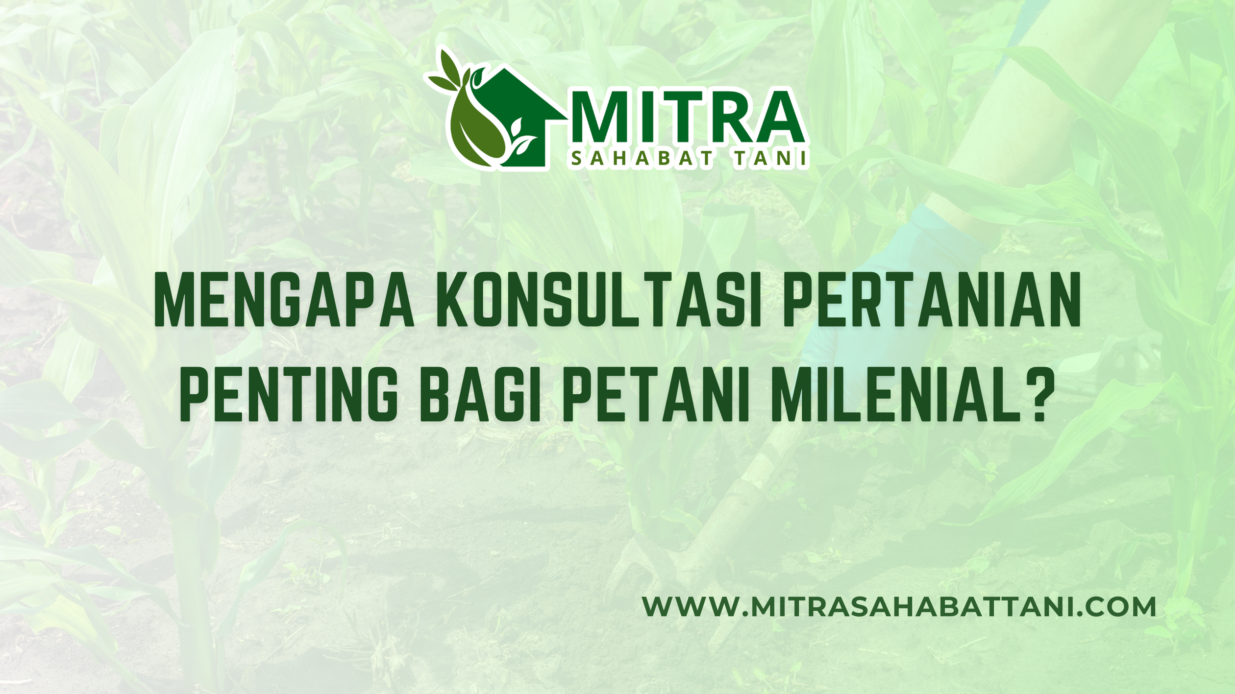 Pertanian modern saat ini mulai banyak dilirik oleh generasi muda. Petani milenial hadir dengan semangat baru, akses teknologi yang lebih luas, serta keinginan untuk membawa perubahan positif di dunia pertanian. Namun, di balik semangat tersebut, banyak tantangan yang tetap harus dihadapi. Di sinilah konsultasi pertanian menjadi bagian penting untuk membantu petani milenial berkembang lebih cepat dan tepat.
Tantangan yang Dihadapi Petani Milenial
Meski petani milenial memiliki akses ke teknologi dan informasi digital, masih banyak kendala yang muncul di lapangan. Beberapa di antaranya adalah:
Kurangnya pengalaman teknis. Tidak semua petani muda memiliki latar belakang pertanian yang kuat.
Kesulitan memilih produk pertanian. Banyak pilihan pupuk, pestisida, dan benih yang membingungkan bagi pemula.
Perubahan iklim. Cuaca yang tidak menentu sering kali membuat hasil panen tidak sesuai harapan.
Keterbatasan akses ke pendampingan. Tidak semua daerah memiliki tenaga ahli pertanian yang siap membantu langsung.
Melalui konsultasi pertanian, tantangan-tantangan ini dapat diatasi dengan cara yang lebih efektif.
Manfaat Konsultasi Pertanian
Konsultasi pertanian bukan sekadar diskusi, melainkan sebuah pendampingan menyeluruh yang bisa membantu petani milenial dalam setiap langkah. Berikut beberapa manfaat utamanya:
Arah yang jelas untuk budidaya.
Petani mendapatkan panduan tentang cara menanam, pemupukan, hingga pengendalian hama yang tepat.
Rekomendasi produk sesuai kebutuhan.
Konsultasi membantu petani memilih pupuk, pestisida, dan benih terbaik sesuai kondisi lahan, bukan sekadar mengikuti tren.
Efisiensi biaya dan waktu.
Dengan arahan yang tepat, petani tidak perlu mencoba-coba yang berisiko merugikan, sehingga biaya produksi bisa ditekan.
Peningkatan hasil panen.
Konsultasi yang berkesinambungan akan membuat hasil lebih konsisten dan produktivitas meningkat.
Konsultasi Pertanian di Era Digital
Saat ini, konsultasi pertanian tidak hanya dilakukan secara langsung. Kehadiran teknologi membuka jalan untuk konsultasi digital melalui marketplace, media sosial, hingga aplikasi pertanian. Petani milenial bisa dengan mudah bertanya, berkonsultasi, dan mendapatkan jawaban cepat tanpa harus menunggu lama.
Mitra Sahabat Tani hadir sebagai salah satu penyedia solusi yang tidak hanya fokus pada penjualan produk, tetapi juga memberikan layanan konsultasi bagi petani. Melalui tim berpengalaman, setiap petani dapat berdiskusi tentang masalah yang mereka hadapi di lapangan, baik mengenai hama, pemupukan, maupun strategi budidaya yang tepat.
Menuju Pertanian Milenial yang Lebih Maju
Konsultasi pertanian bukan lagi pilihan tambahan, melainkan kebutuhan utama bagi generasi muda yang ingin serius di bidang ini. Dengan adanya pendampingan, petani milenial dapat menghindari kesalahan fatal, mengambil keputusan lebih bijak, dan mempercepat proses menuju pertanian modern yang produktif.
Dengan dukungan Mitra Sahabat Tani, petani milenial tidak hanya diberi akses produk pertanian unggulan, tetapi juga dibekali dengan pengetahuan serta strategi yang bisa langsung diterapkan. Harapannya, pertanian Indonesia dapat terus berkembang dengan generasi muda sebagai motor penggerak utamanya.
