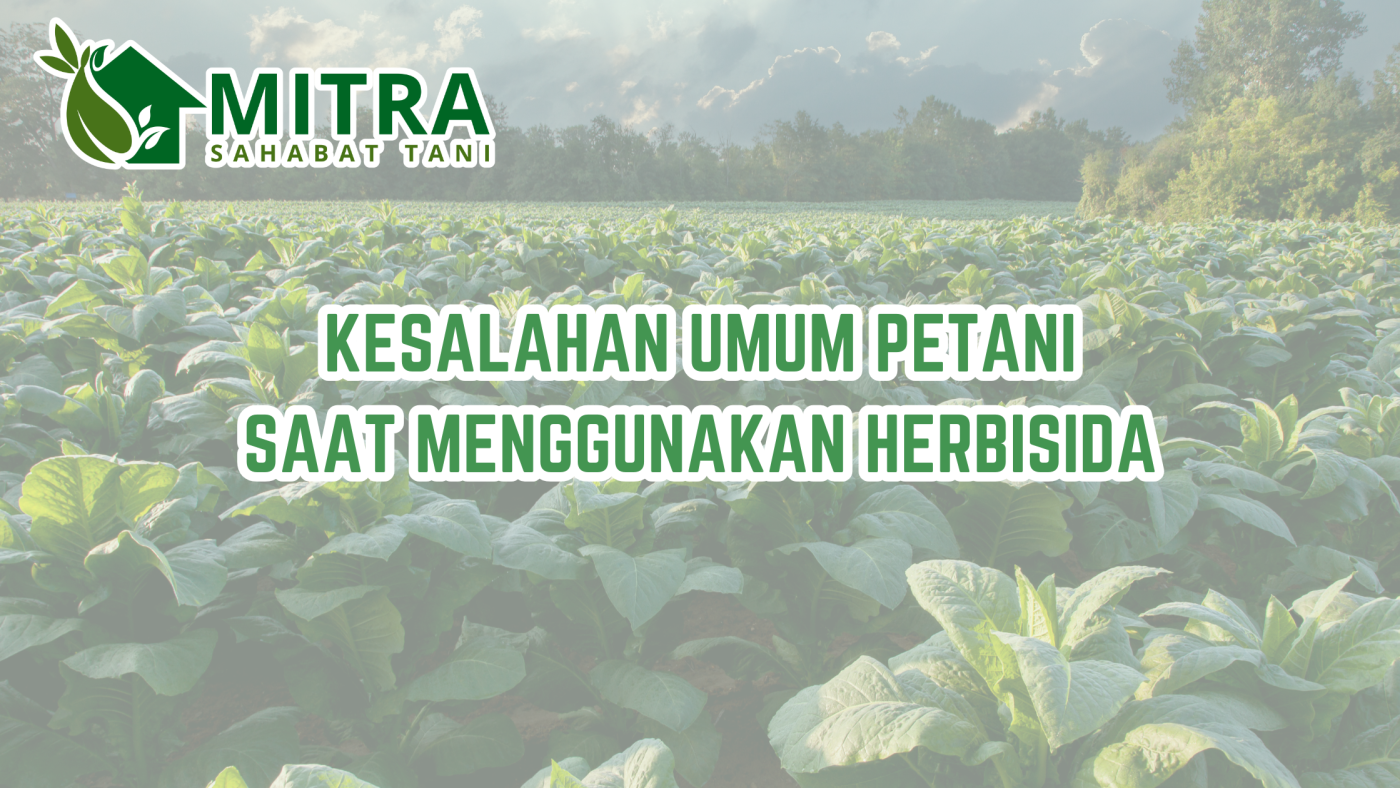 Salinan dari GAMA AGRO SEJATI (1)