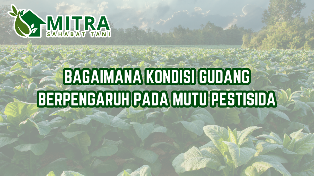 Salinan dari GAMA AGRO SEJATI (2)