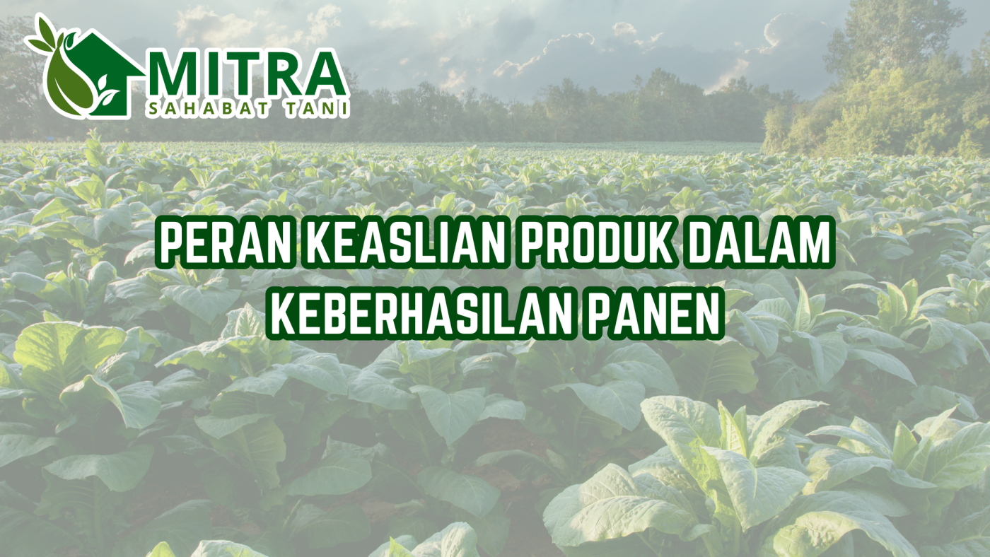 Salinan dari GAMA AGRO SEJATI (8)