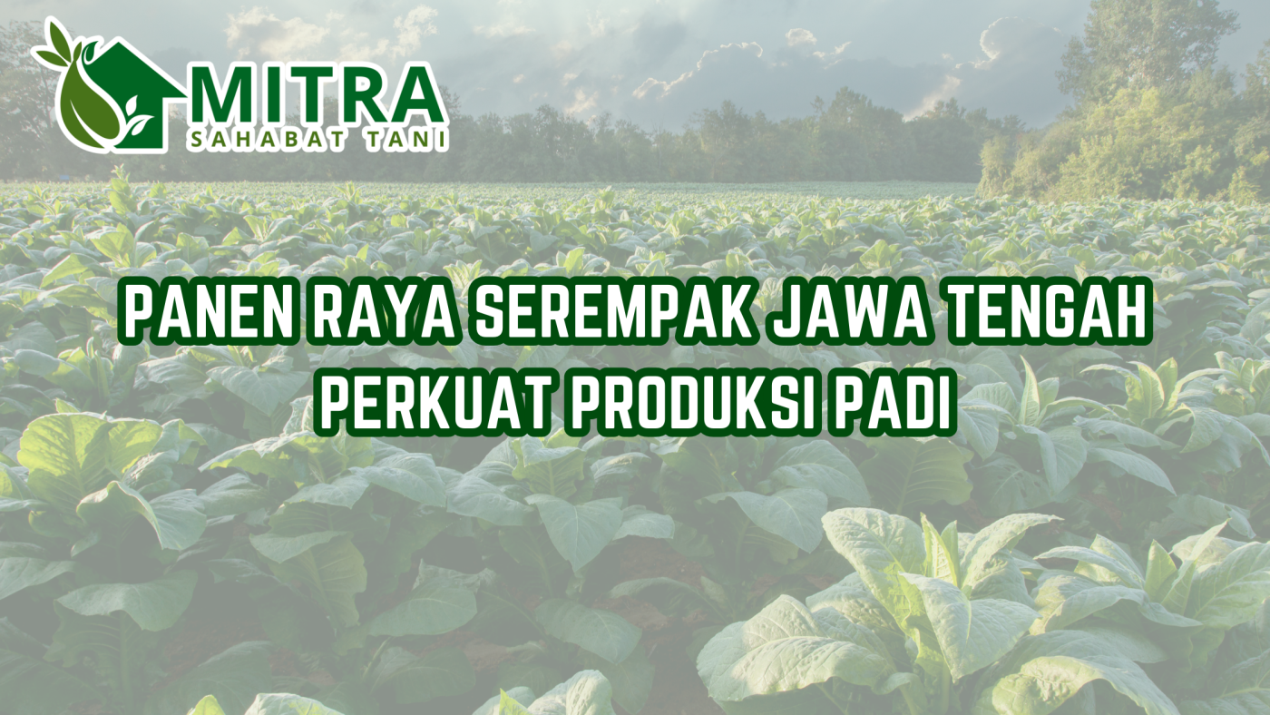 Salinan dari GAMA AGRO SEJATI (6)