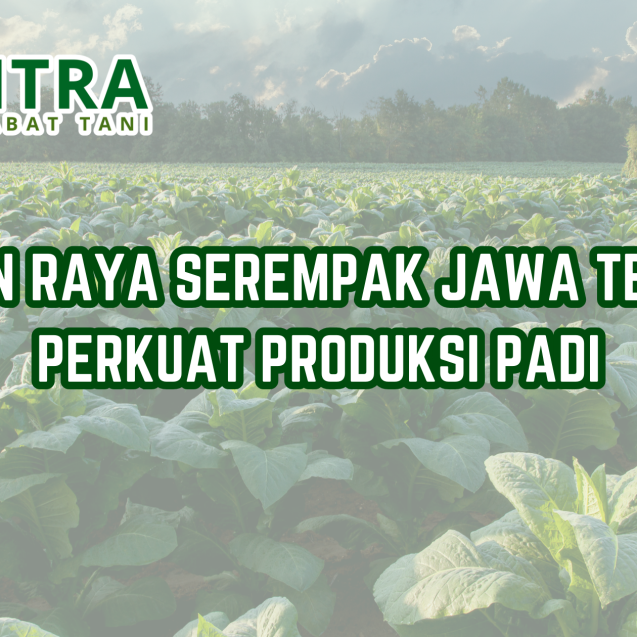 Salinan dari GAMA AGRO SEJATI (6)