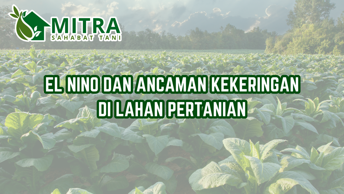 website gama (17)