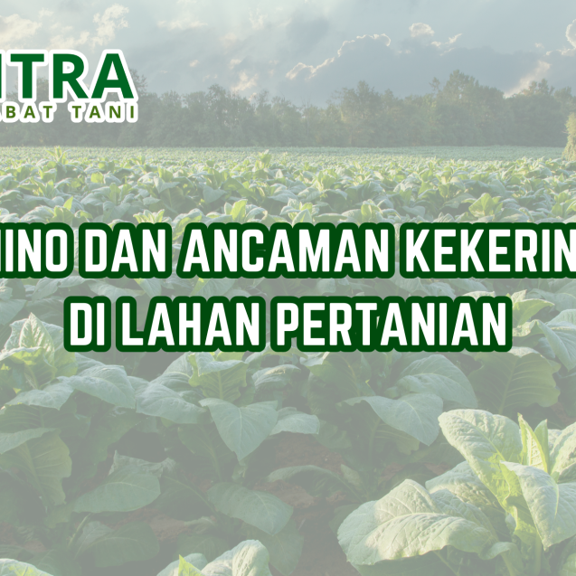 website gama (17)
