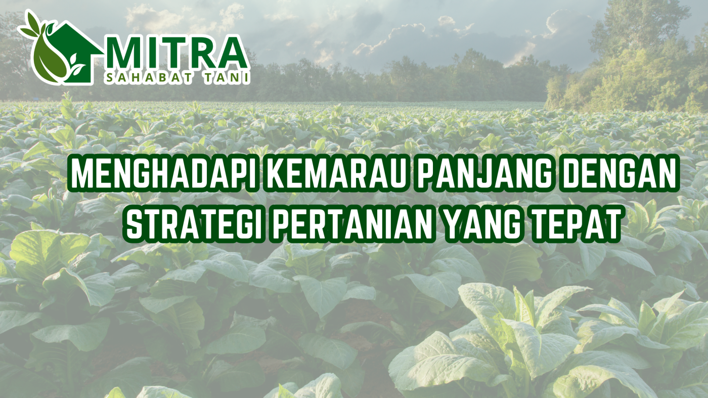 website gama (18)