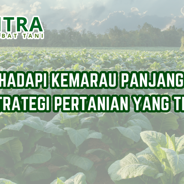 website gama (18)