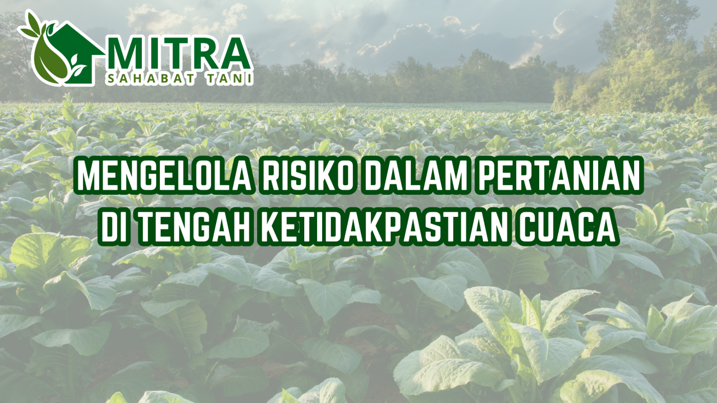 website gama (19)