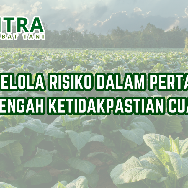 website gama (19)