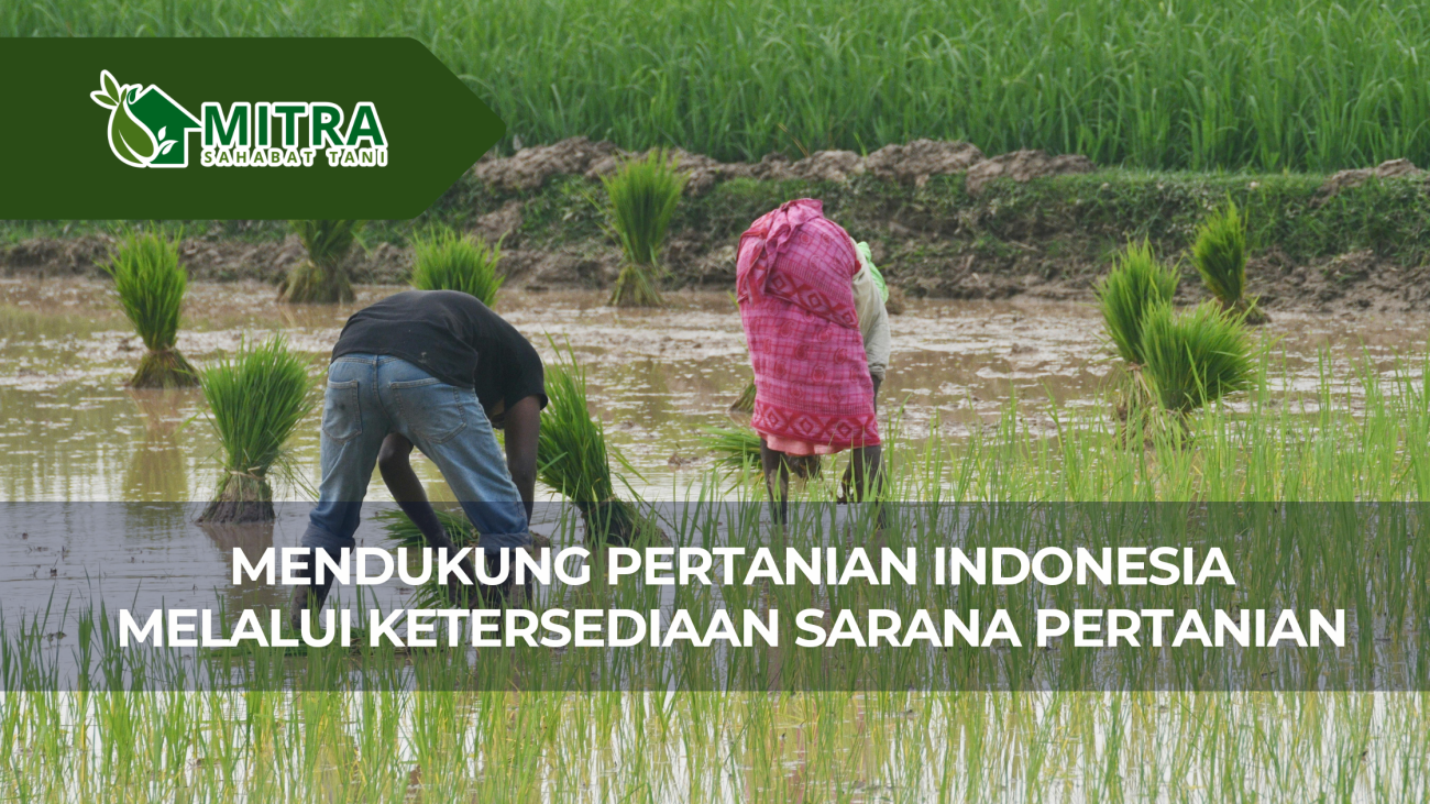website gama (1)