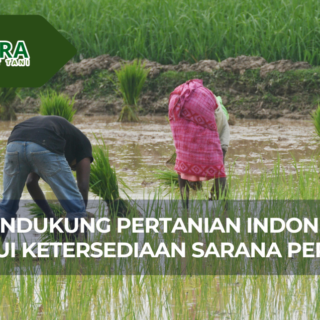 website gama (1)