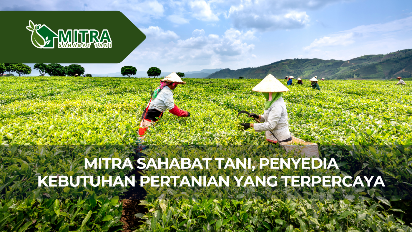 website gama (2)