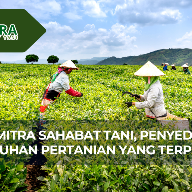 website gama (2)