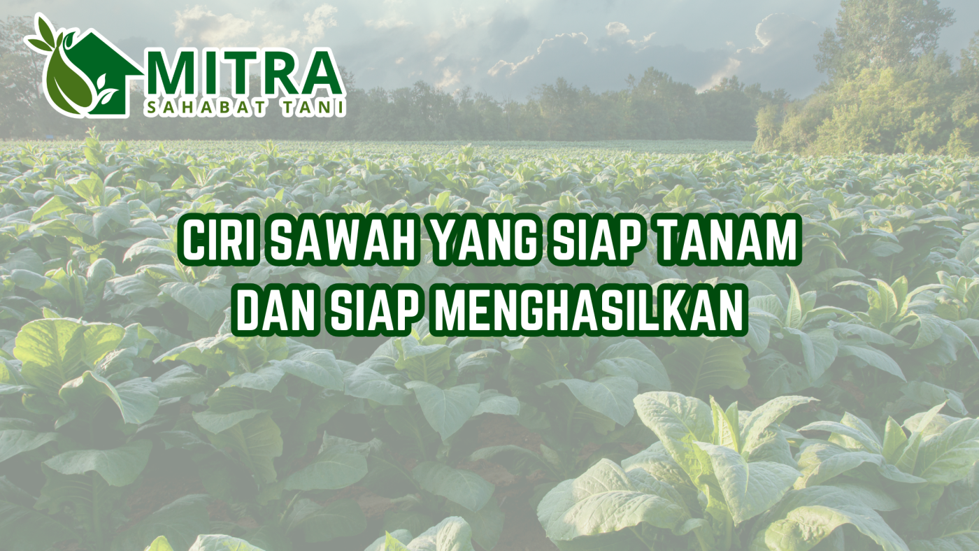 website gama (20)