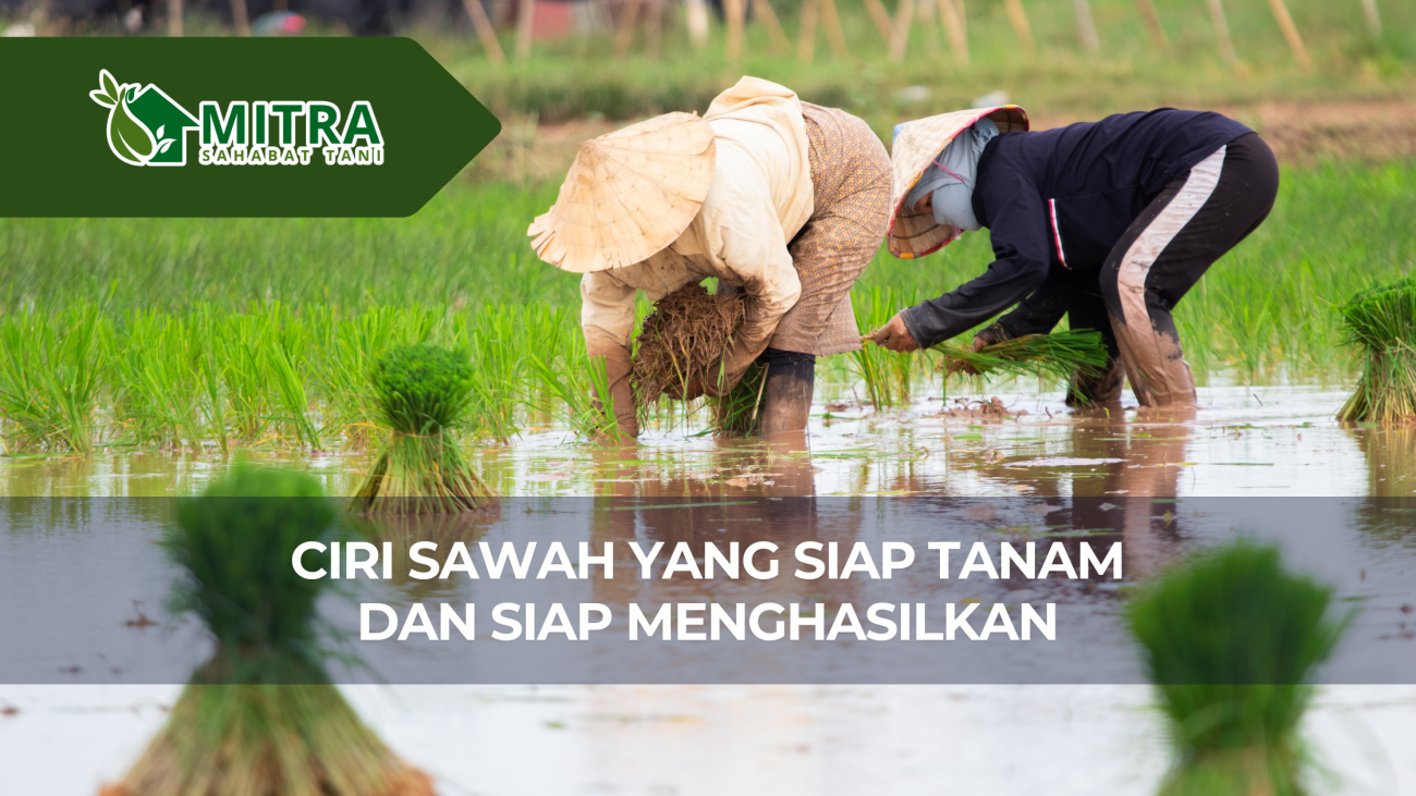 website gama (3)