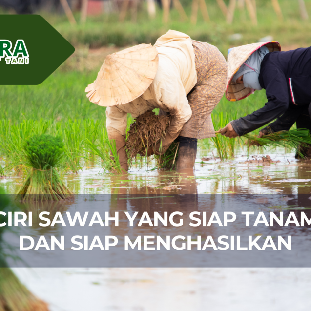 website gama (3)