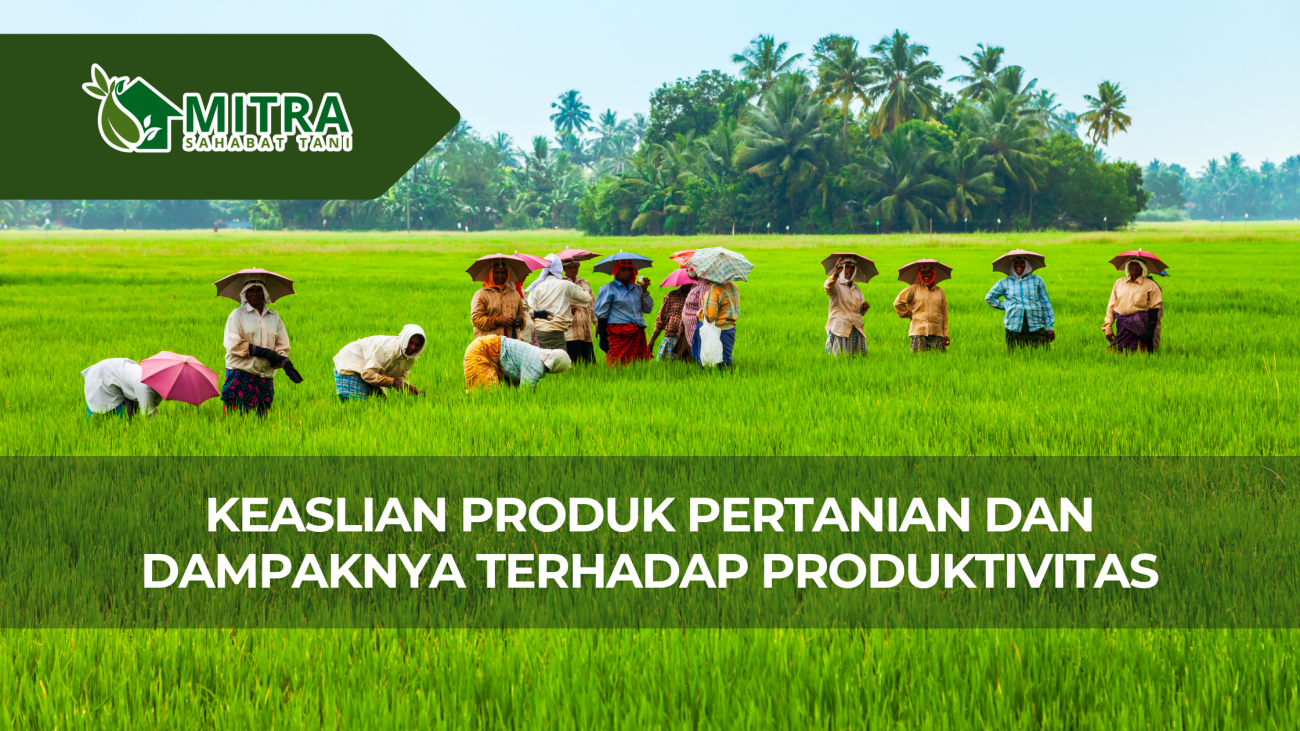 website gama (6)