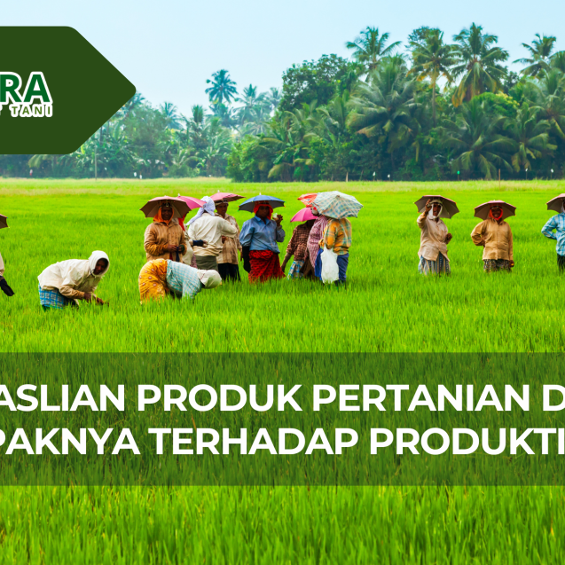 website gama (6)